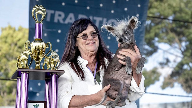 Scooter World's Ugliest Dog