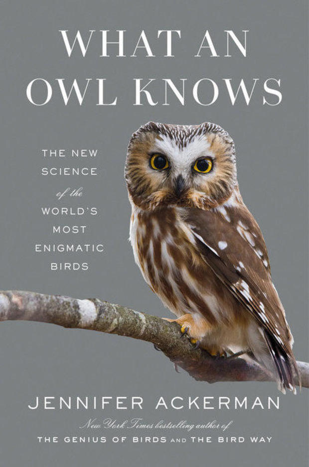 what-an-owl-knows-penguin-press-cover.jpg 