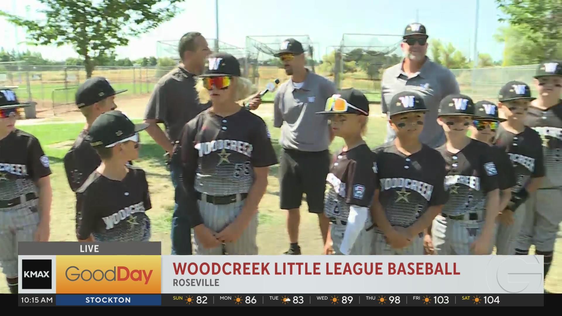 Woodcreek Little League Baseball