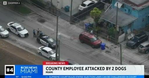 MiamiDade employee attacked by two dogs CBS Miami