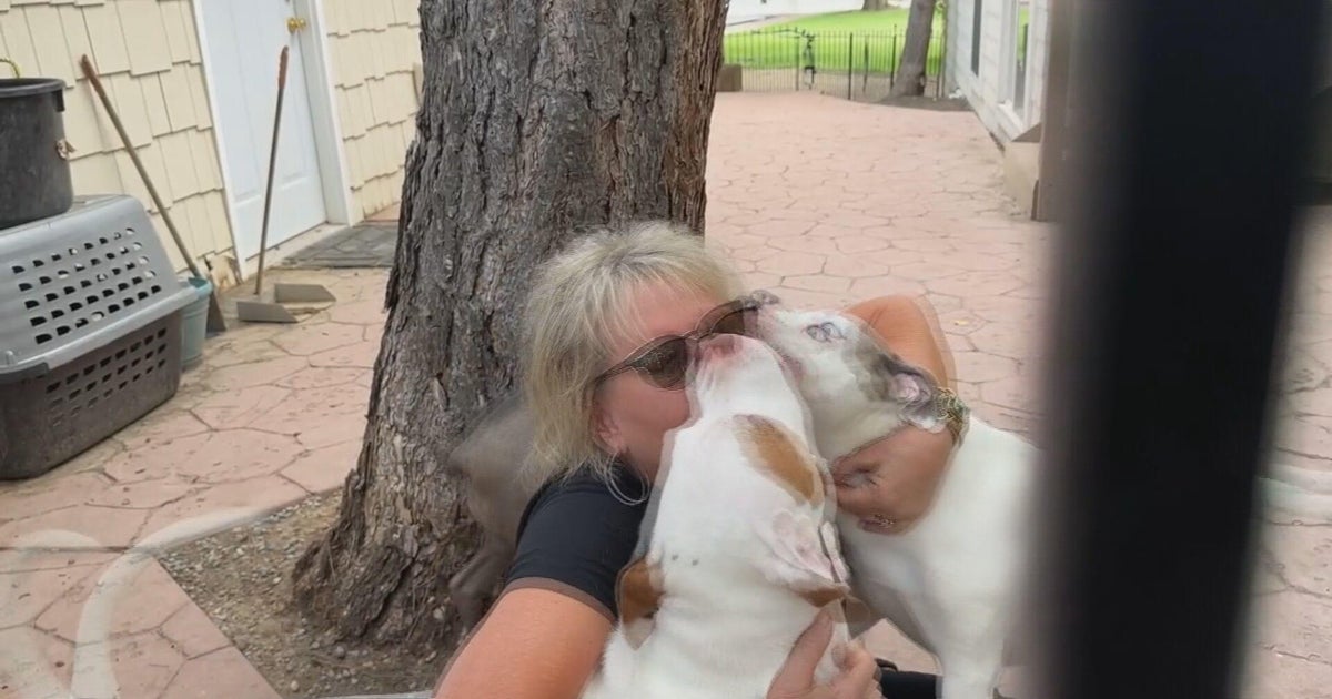 Arvada woman rescues dogs and foster kids after she was rescued as a(02)