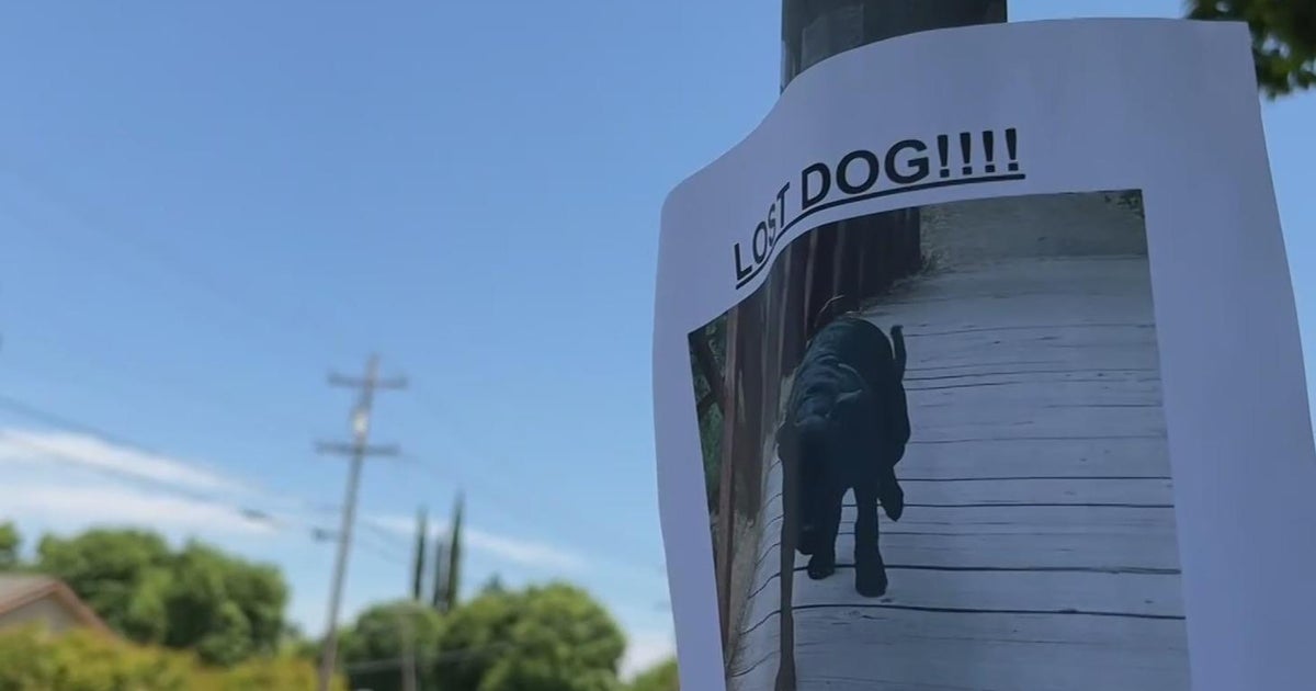 Signs on public property to be banned in Livermore starting Saturday