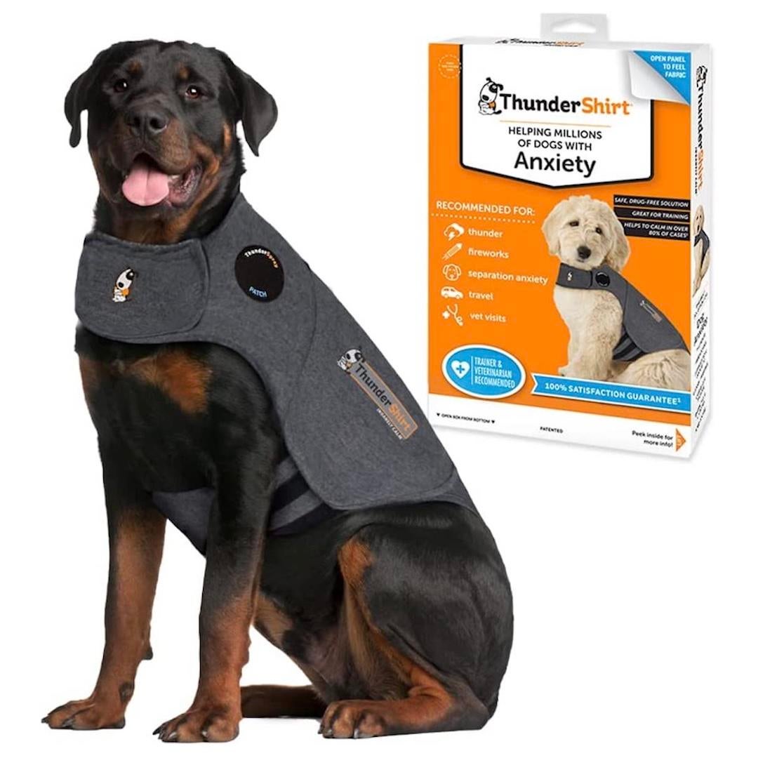 Best thunder shirts for dogs scared of fireworks CBS News