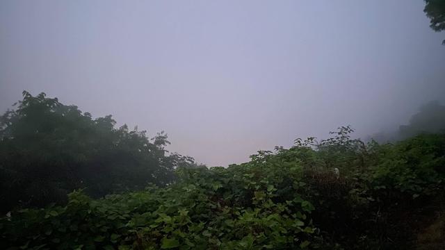 skyline-haze-pittsburgh-1.jpg 