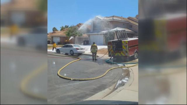 bee-attack-in-murrieta.jpg 