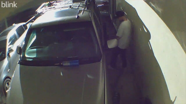 auto-theft-law-pkg-frame-2355.jpg 