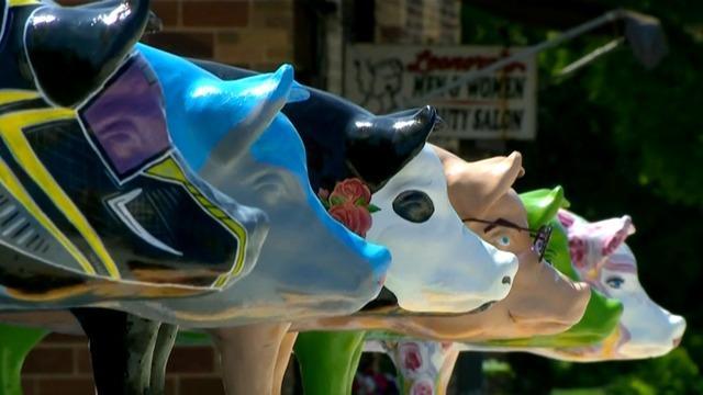 cbsn-fusion-how-pig-statues-are-helping-the-economy-in-a-minnesota-county-thumbnail-2095459-640x360.jpg 