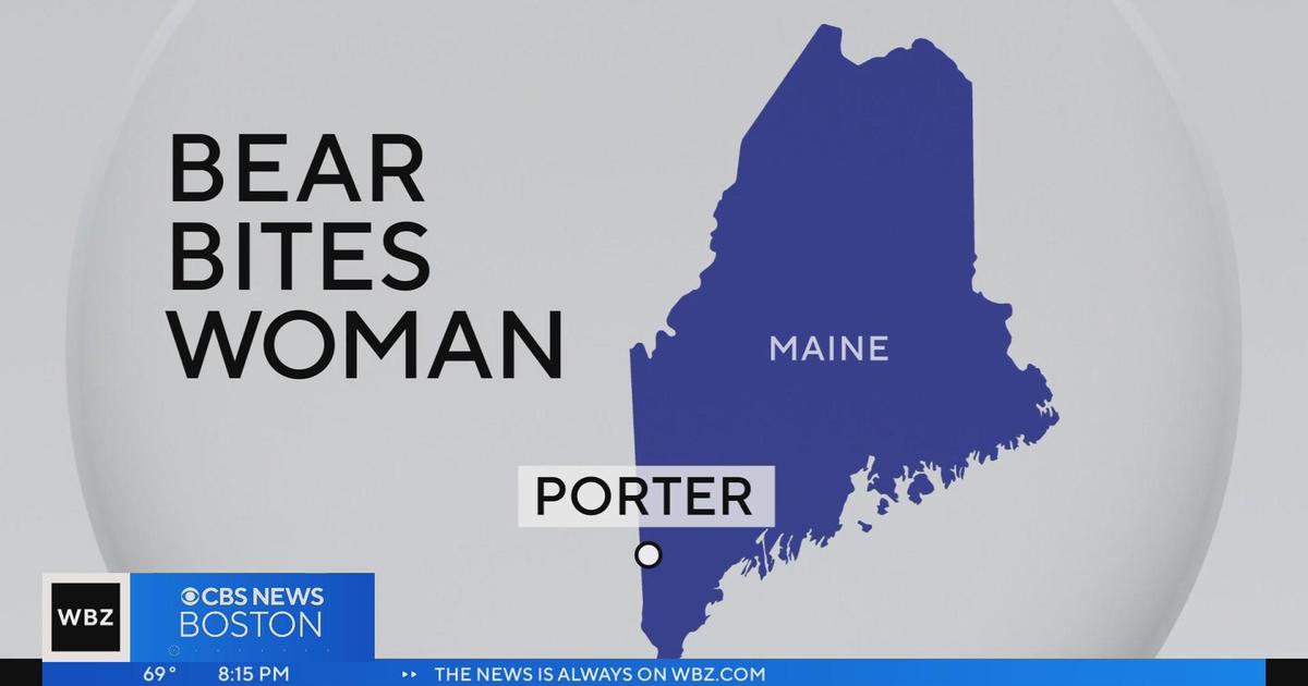 Bear bites woman in Maine