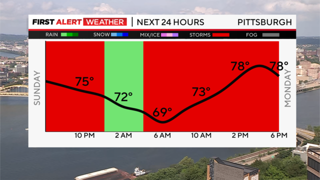 next-24-hours-temp-line-weather-bars-camera-1.png 