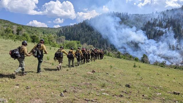 spring-creek-fire-crew.jpg 