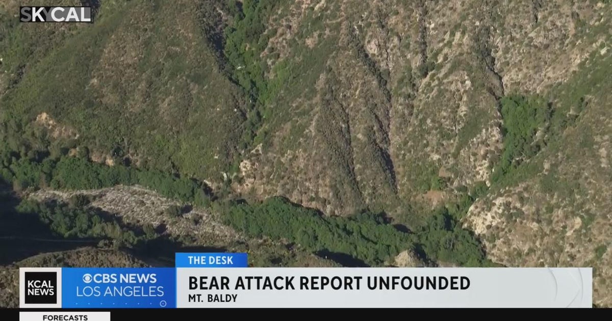 Authorities say report of bear attack on Mt. Baldy unfounded - CBS Los Angeles