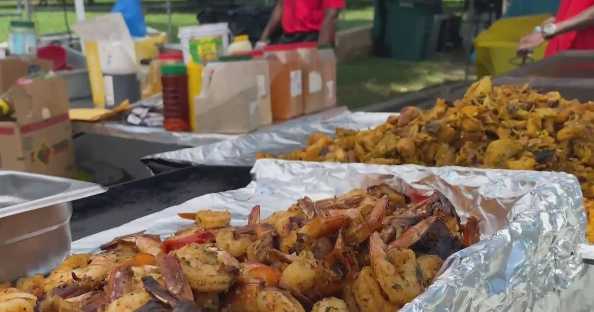 AfroCaribbean festival takes over Chicagos Washington Park