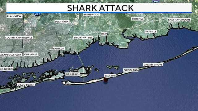 shark-attack-fire-island.jpg 