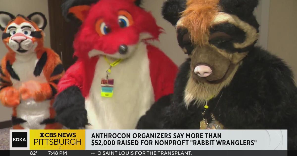 Anthrocon convention raises more than 52,000 for charity CBS Pittsburgh