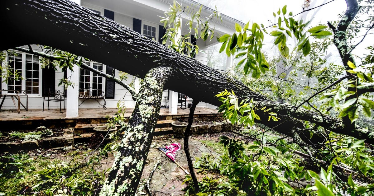 Are your trees in danger of falling during summer storms? Here are the