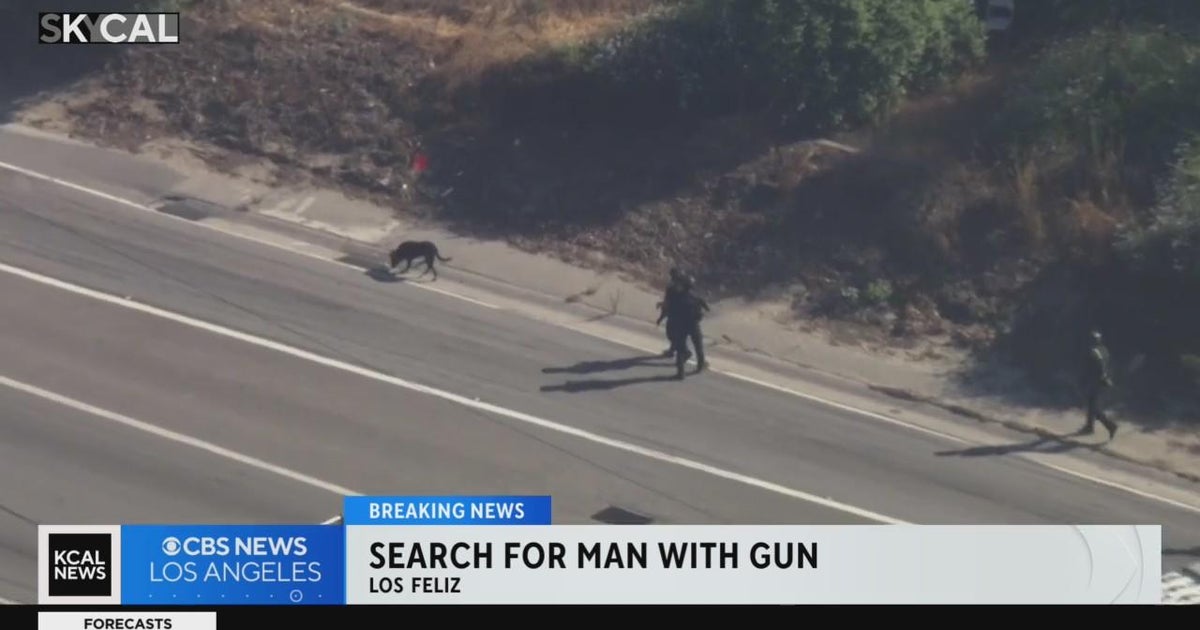 LAPD searching for a reported gunman on the I-5 Freeway near Los Feliz ...