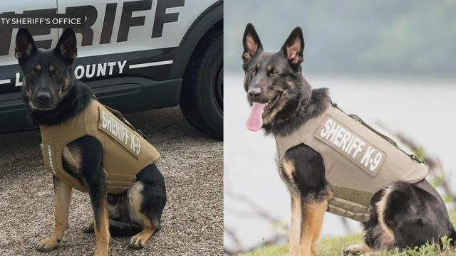 lake-county-k9-vests.jpg 