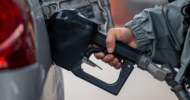 Fuel costs in Florida reach 3-thirty day period large: AAA claims