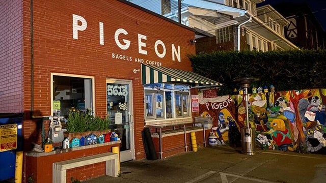kdka-pigeon-bagels-pittsburgh-squirrel-hill.jpg 