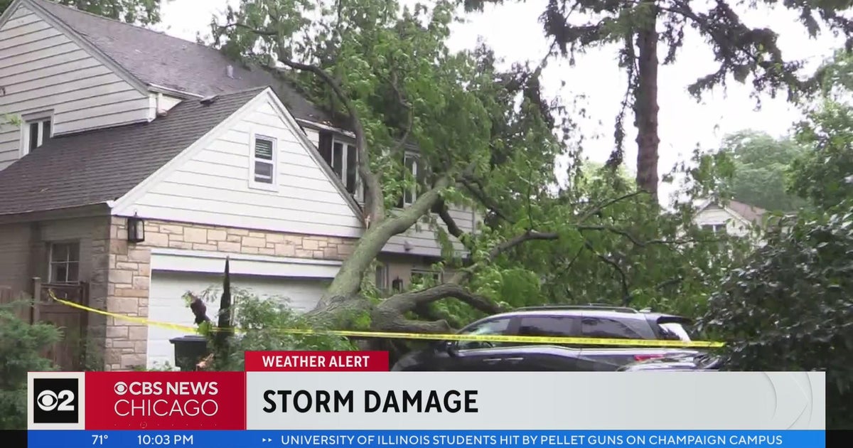 Storms knock down trees, flood roads across Chicago area - CBS Chicago
