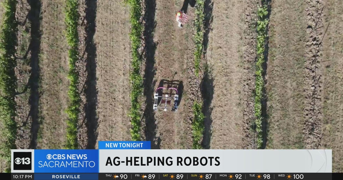 A.I. now finding its way onto the farmlands of California