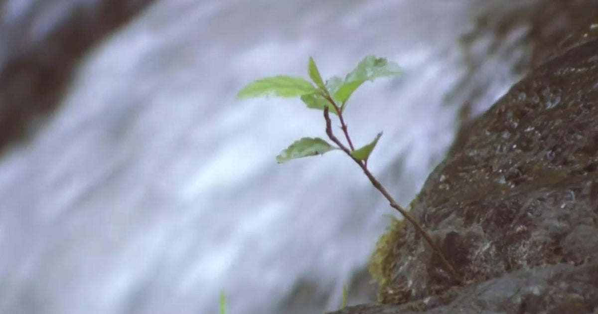 2 young people die in one week after falling into California waterways. What you need to know to stay safe when hiking and biking