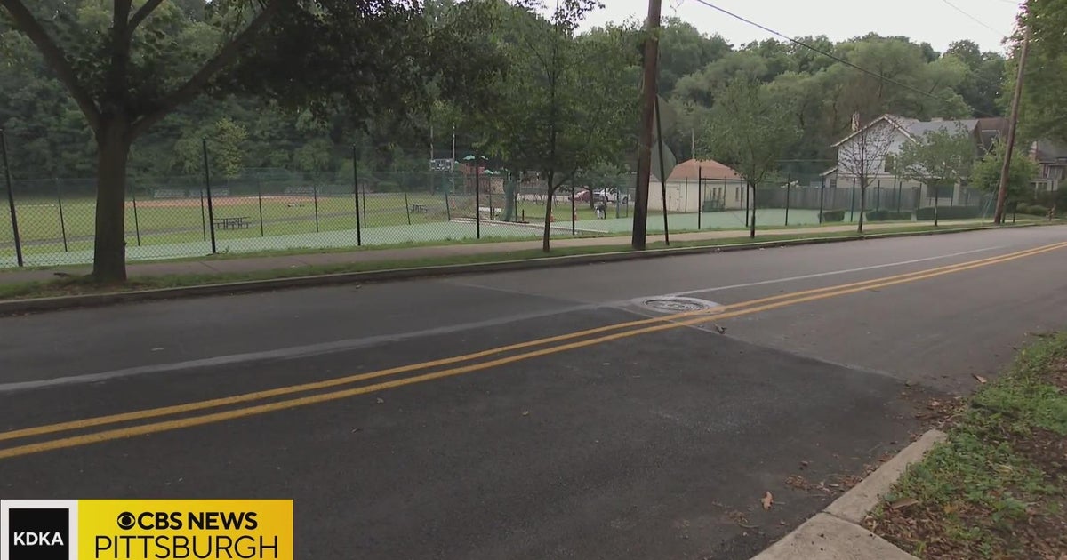 Edgewood residents worried about noise from pickleball courts CBS