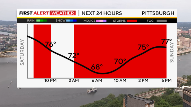 next-24-hours-temp-line-weather-bars-camera.png 