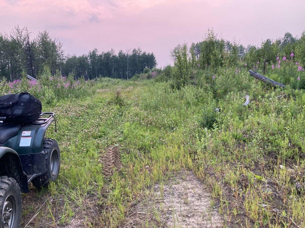 357740256-661058709382389-8602082793677927712-н.јпг