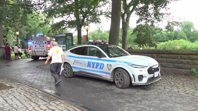 Two NYPD vehicles parked on walkways in Central Park near Harlem Meer lake. 