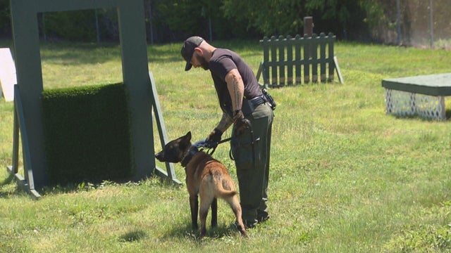 Court Dog Pullin' Rank　g-rap g-luv Jefferson County Sheriff's Office welcomes 2 new K9 deputies