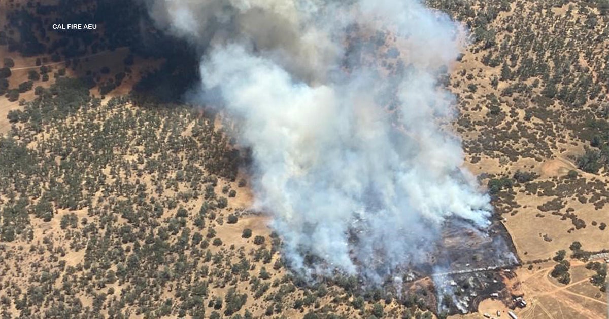 Cal Fire crews stop forward progress of 56acre wildfire near Ione in