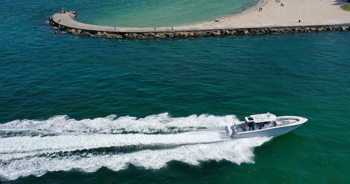 Climbing warmth in Florida’s waters may trigger 1 of state’s worst coral bleaching gatherings