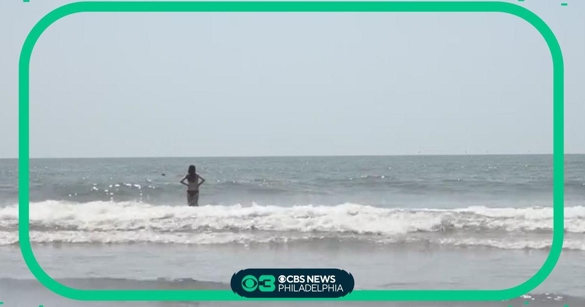 Three Jersey Shore Beaches Cleared for Swimming After Fecal Bacteria Scare