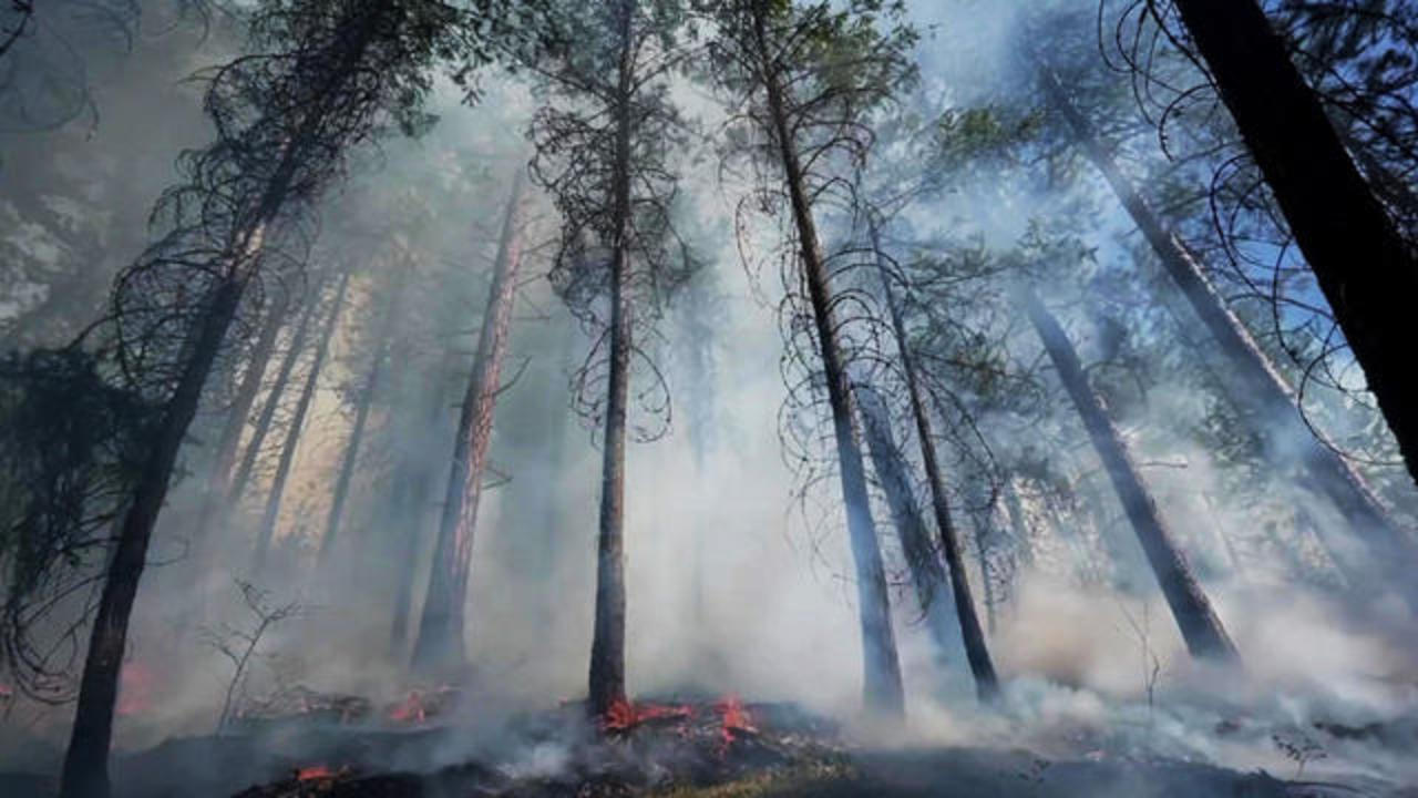 It's the middle of winter, and more than 100 wildfires are still