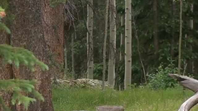 3 "fairly mummified" bodies found at remote campsite in Colorado Rockies