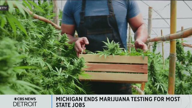 michigan-marijuana-employee-testing.jpg 