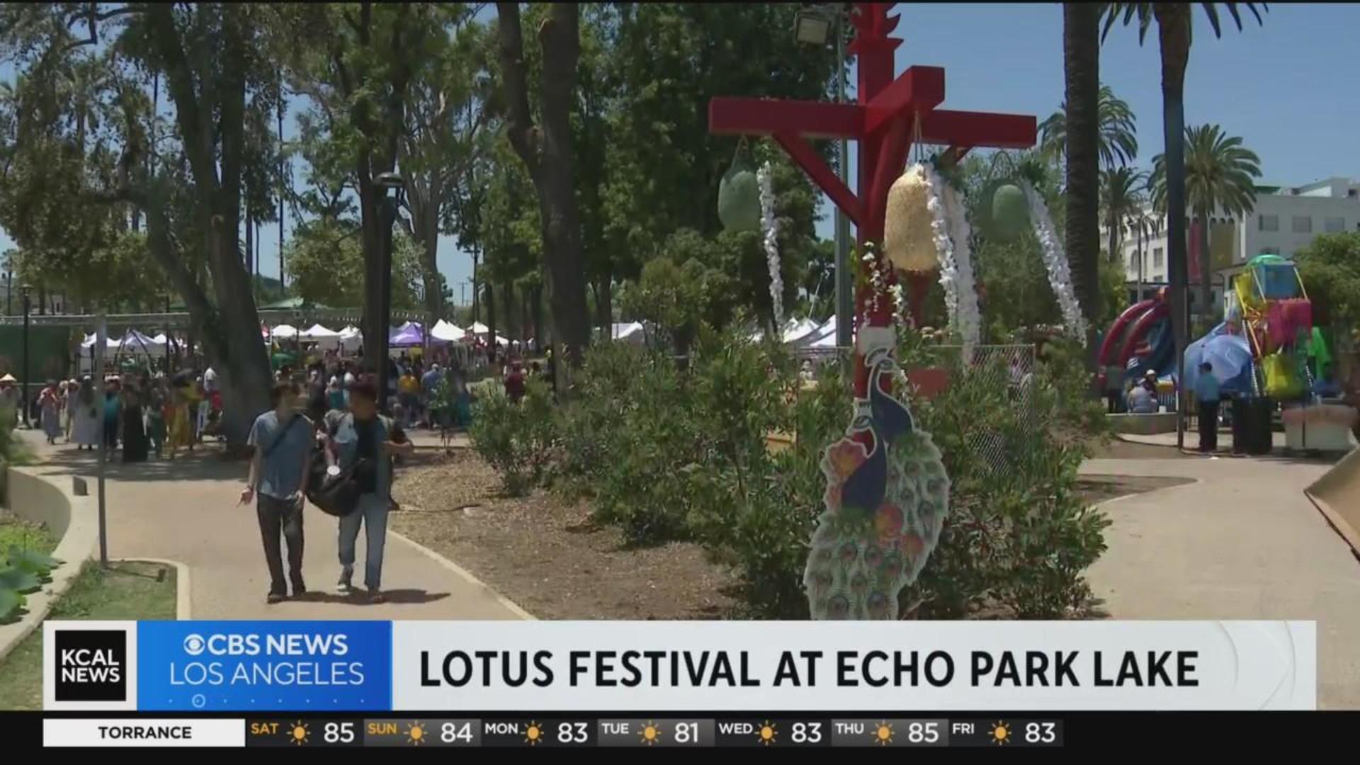 The Return of Echo Park's Lotus Festival