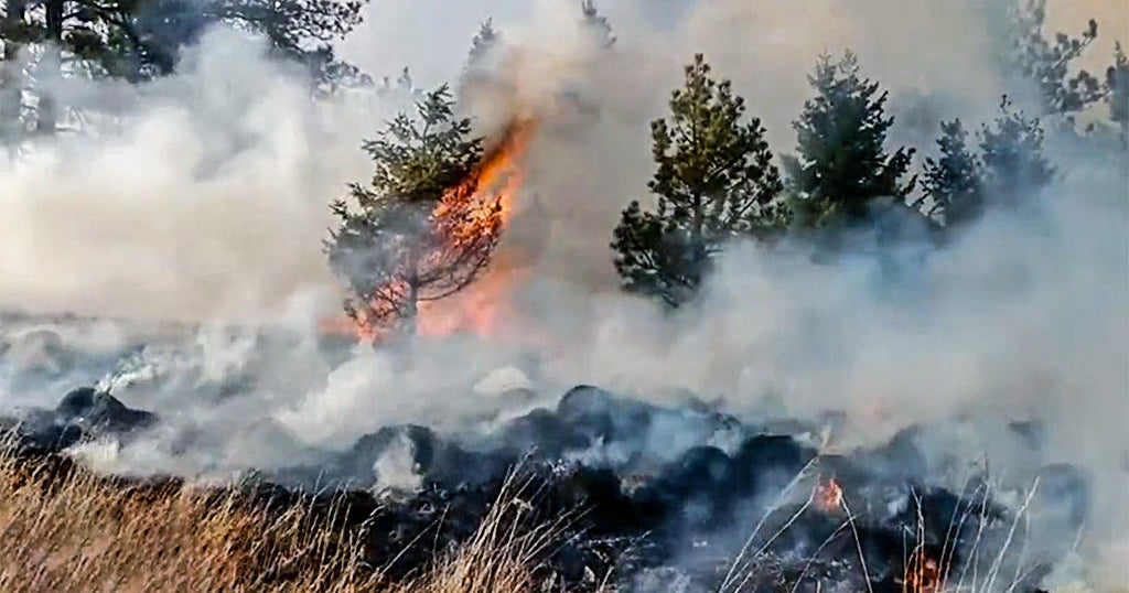 Living with air pollution especially from wildfires or agriculture raises risk of dementia US study finds Living with air pollution especially from wildfires or agriculture raises risk of dementia US study finds