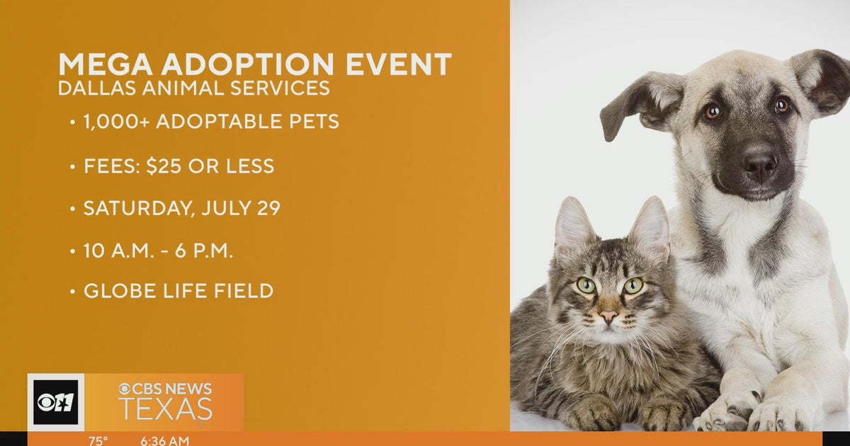 Dallas Animal Services to host mega adoption event - CBS Texas