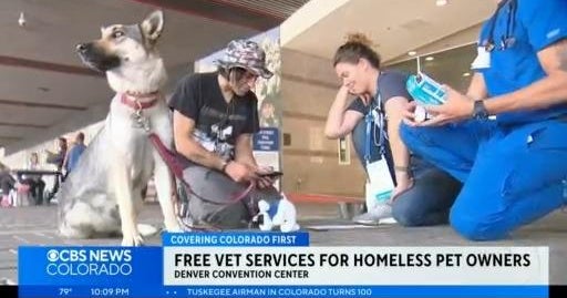 Nonprofit offers free vet care to those experiencing housing insecurity