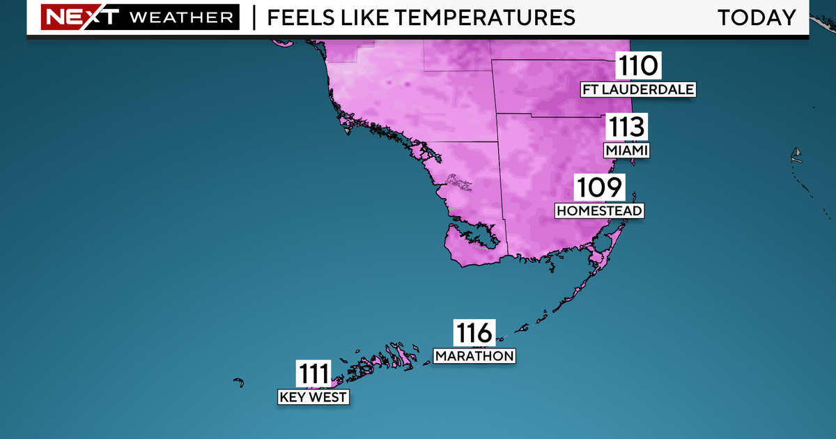 NEXT Weather: Showers for the first half of day, low 90s in the afternoon