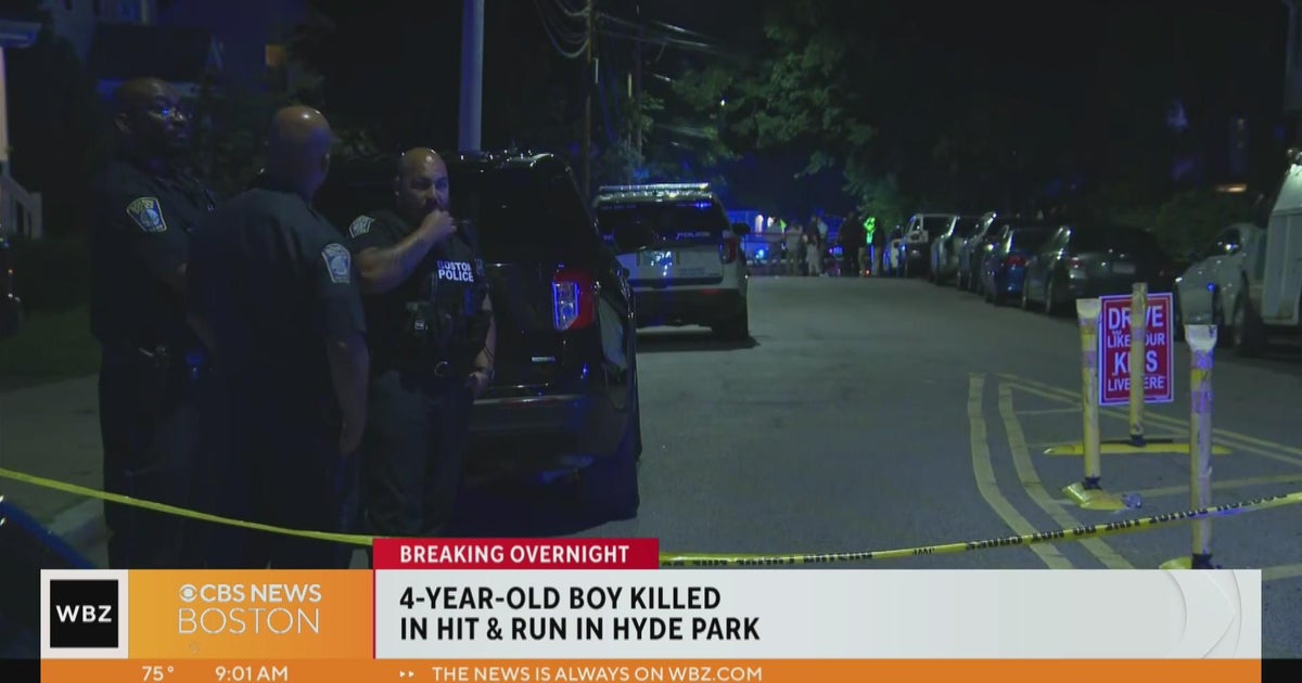 Witness says 4yearold boy killed in Hyde Park hitandrun was