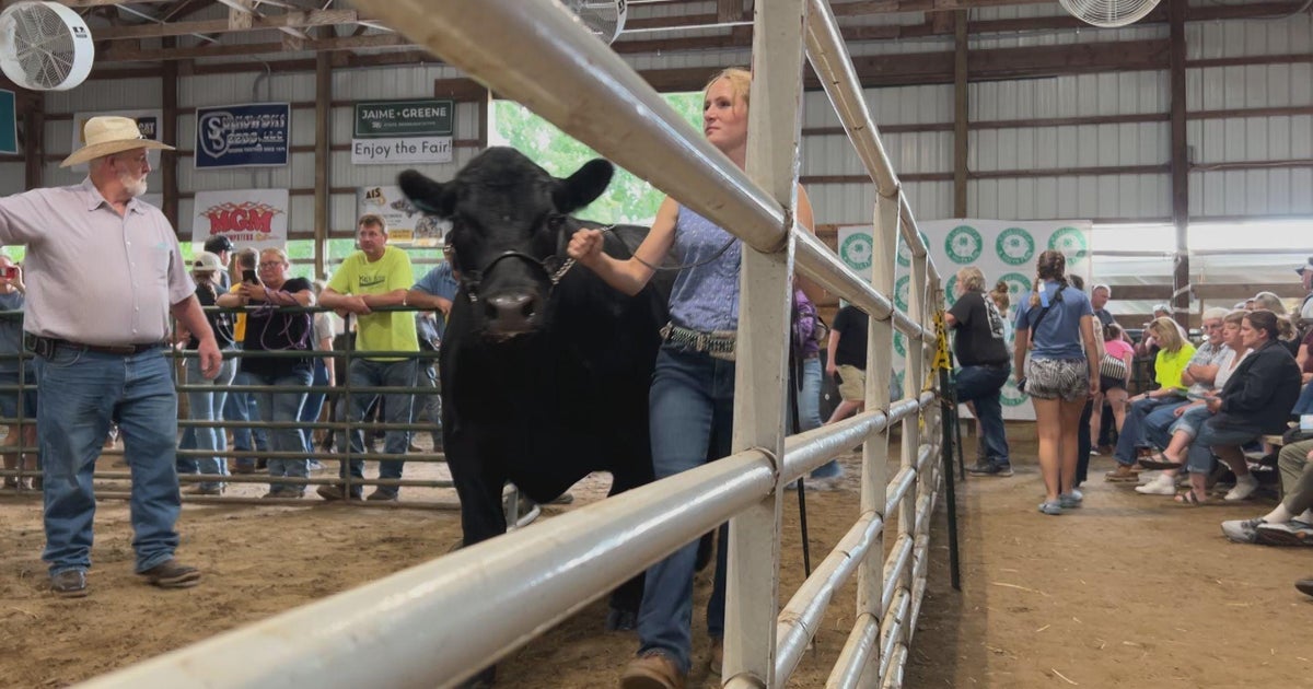 4H and Youth Fair brings agriculture education to St. Clair County