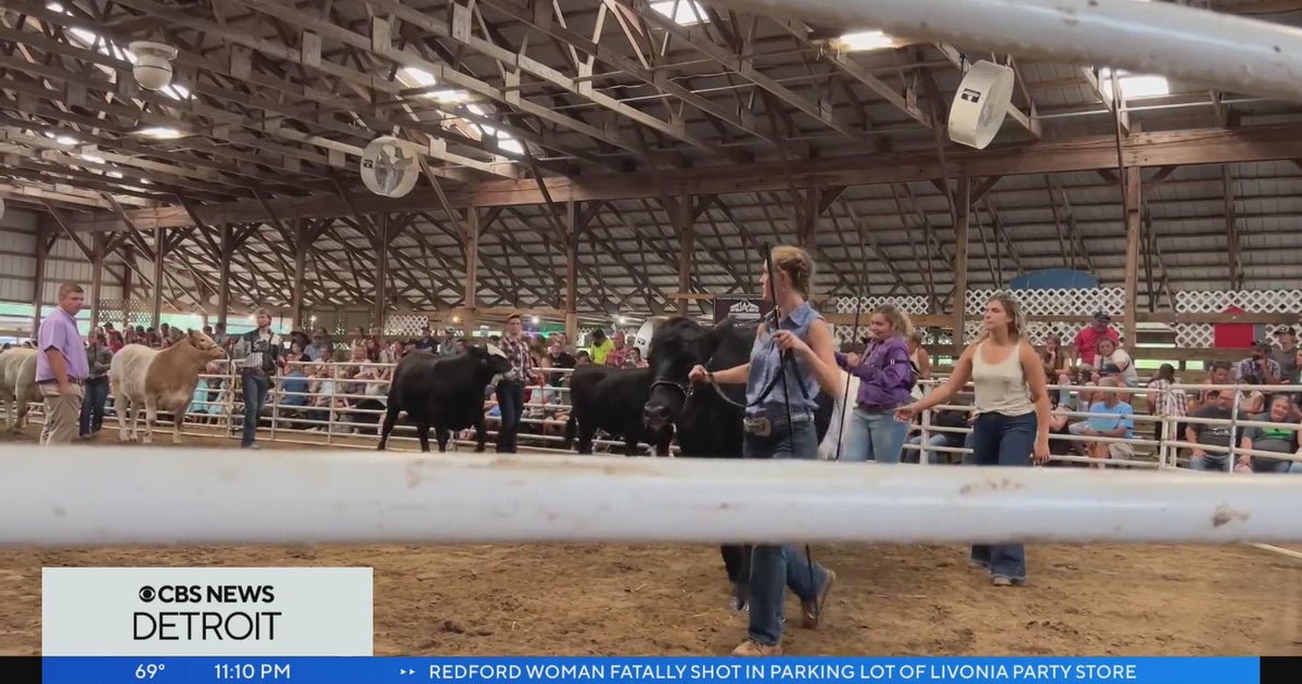 4H and Youth Fair brings agriculture education to St. Clair County