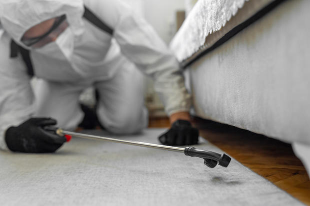 Man in protective suit disinfecting and spraying every room in the building 