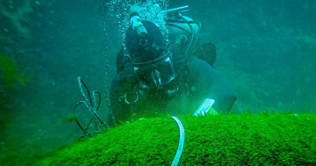 Unexploded bombs found in 1942 wrecks of U.S. Navy ships off coast of Canada - Vimarsana News