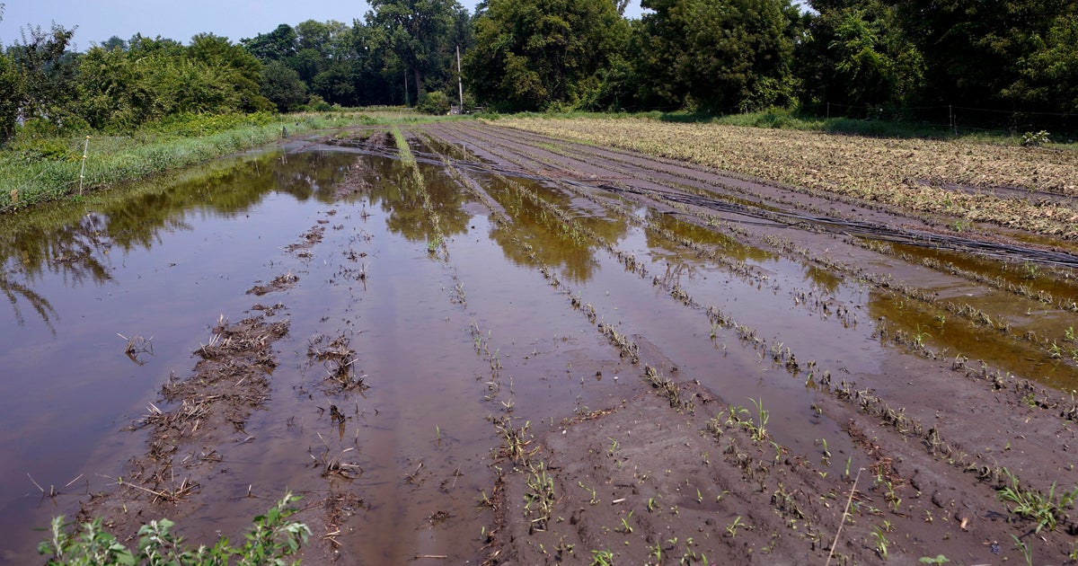 Floods devastate 'heartbroken' farmers as months of labor and crops are swept away - Vimarsana News