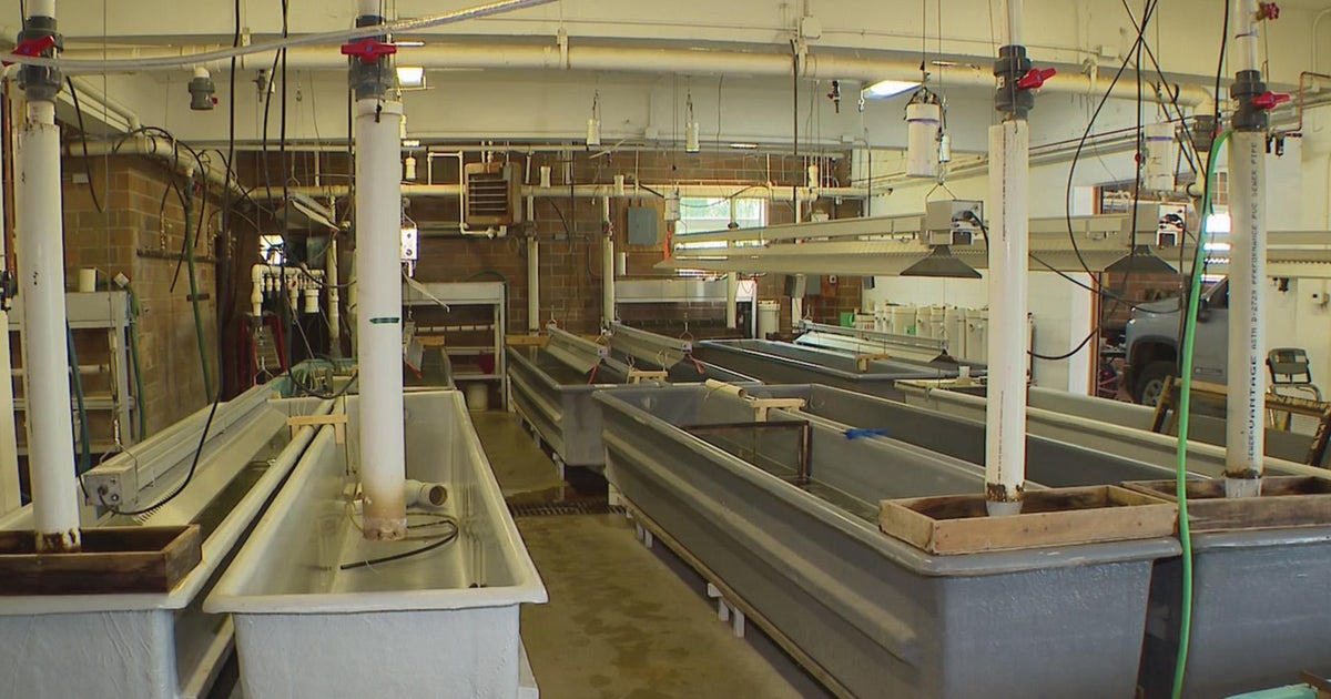 Minnesota Legislature earmarks millions for fishing hatchery upgrades