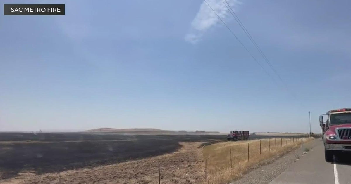 Grass fire along Grant Line Road stopped before it could grow